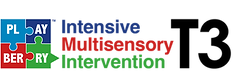 playBERRY LaserT3 logo.png