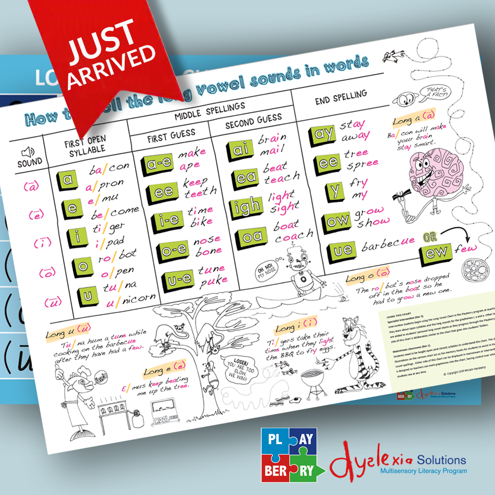 Double Sided Long Vowel Spellings Chart (FOR CLASSROOM or INTERVENTION