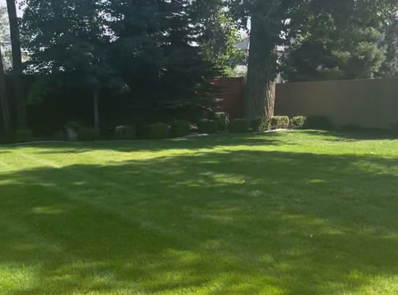 E Cedar Lot Photo 4.jpg