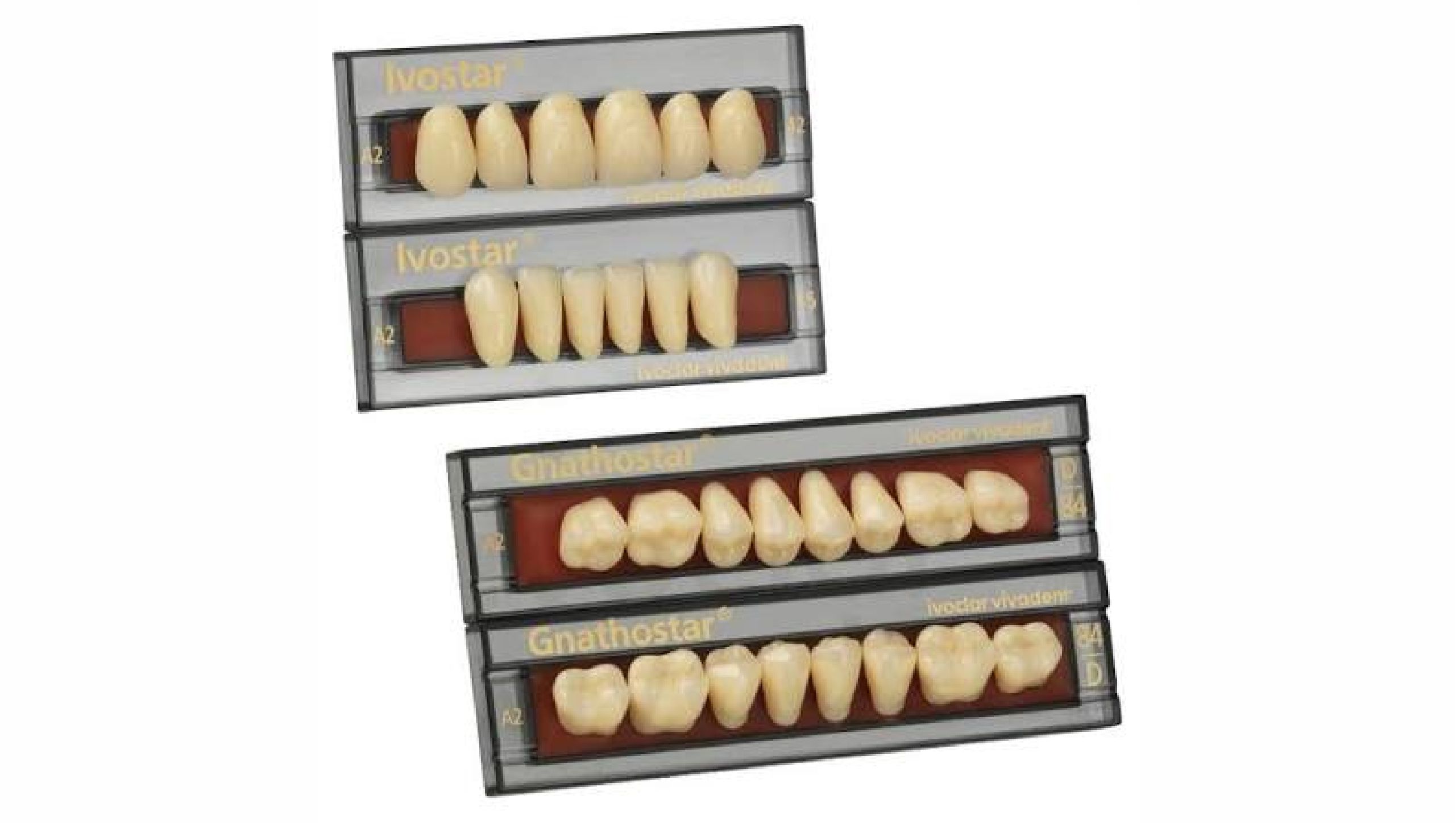 Ivostar & Gnathostar dental denture teeth by Ivoclar