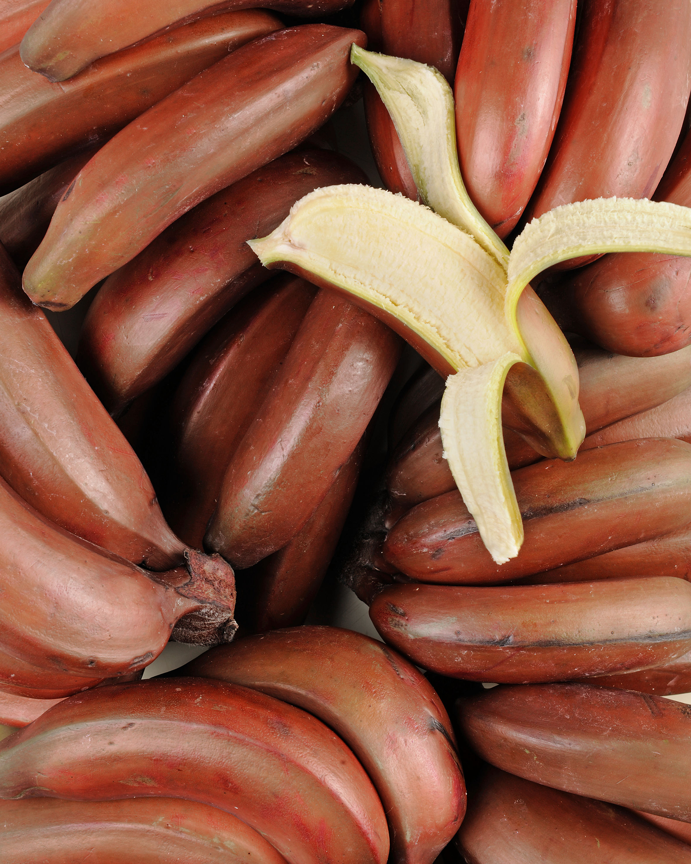 Banane Rose