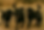 Copilot_20250609_110305.png