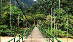 TINGO-MARIA