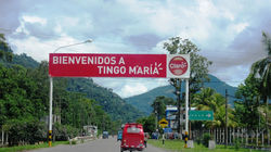 TINGO-MARIA2