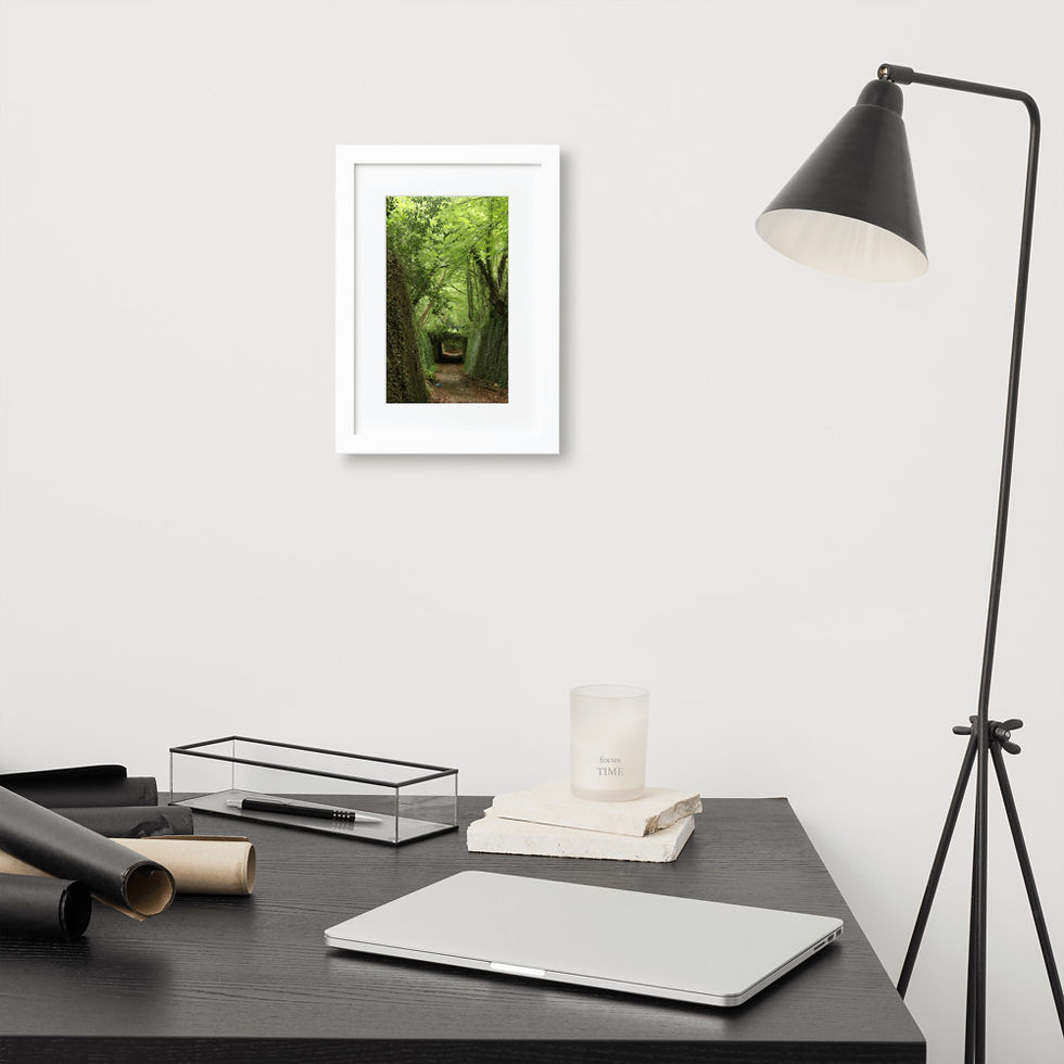 Thumbnail: Matte Paper Framed Print- Roman Road, Nettleden