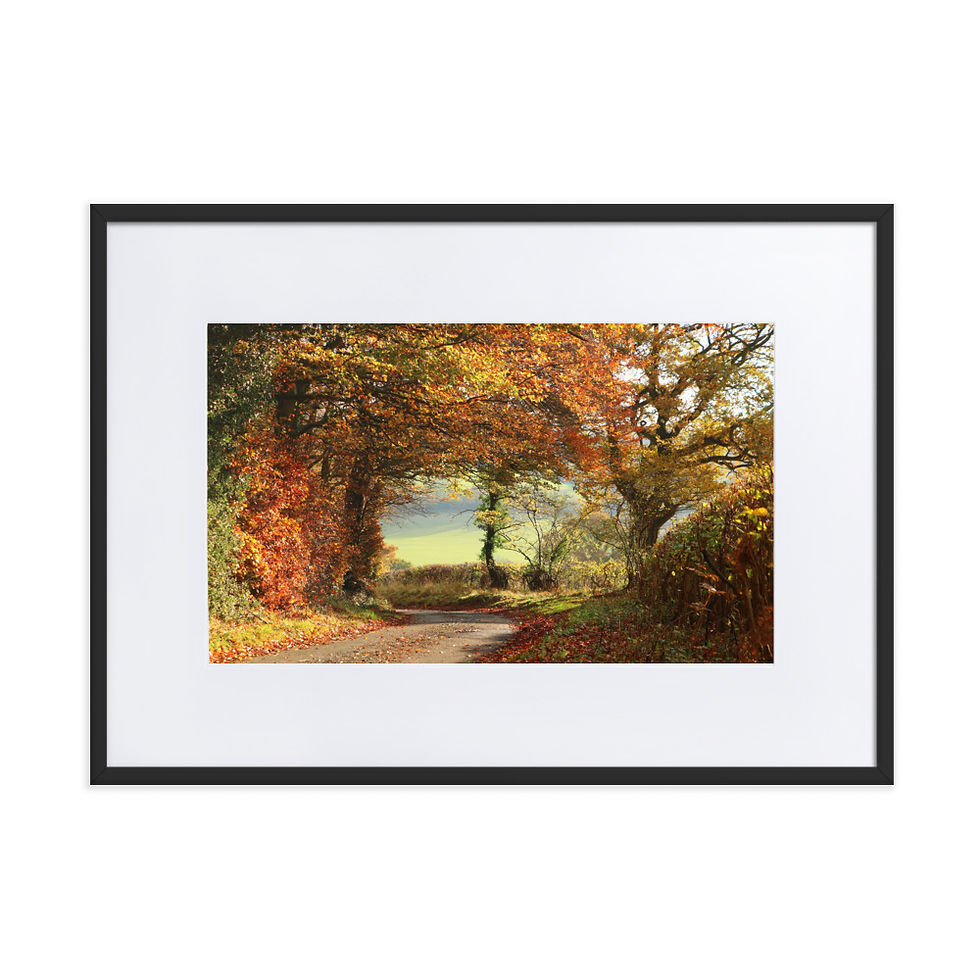 Thumbnail: Matte Paper Framed Print- Autumn Lane