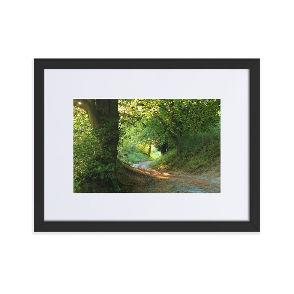 Thumbnail: Matte Paper Framed Print- Pulpit Wood Evening