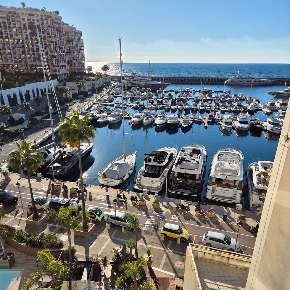 View from the Riviera Marriott La Porte de Monaco