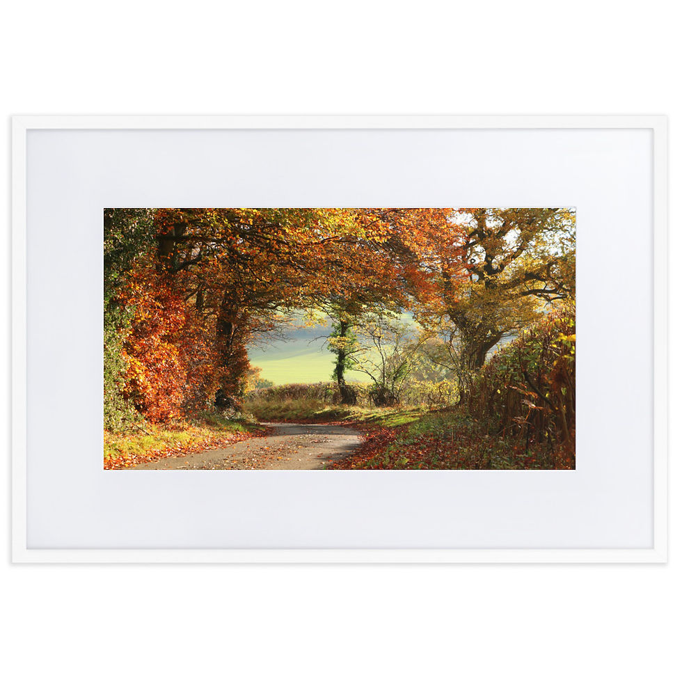 Thumbnail: Matte Paper Framed Print- Autumn Lane