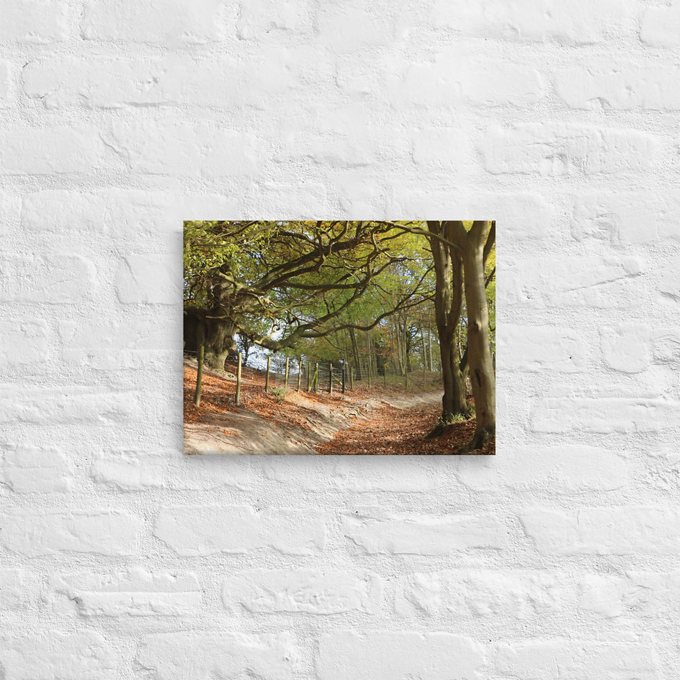 Thumbnail: Canvas- Pulpit Hill Autumn