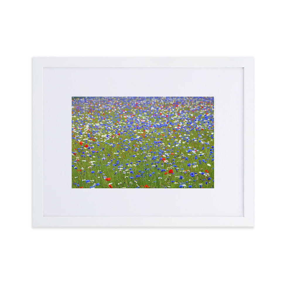 Thumbnail: Matte Paper Framed Print- Wildflower Meadow