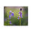 Thumbnail: Canvas- Bluebells Close-up