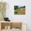 Thumbnail: Canvas- Poppy Field