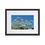 Thumbnail: Matte Paper Framed Print- Oxeye Daisies