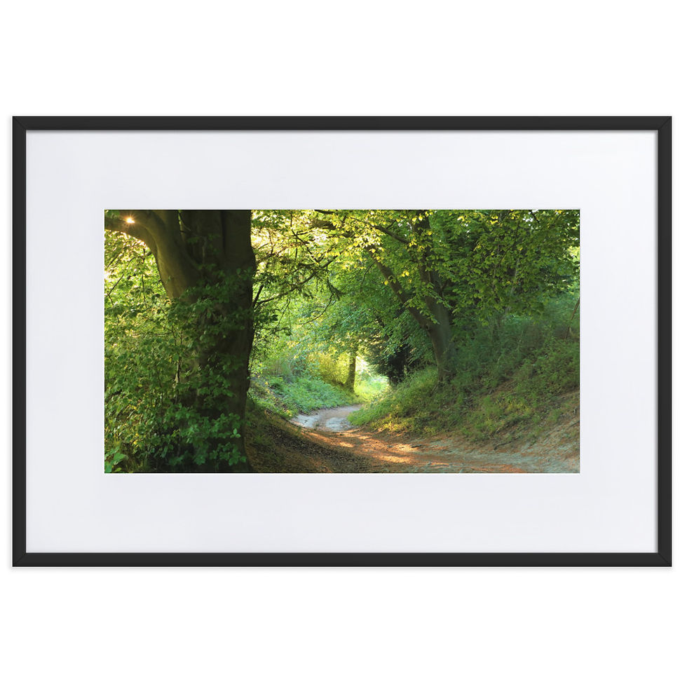 Thumbnail: Matte Paper Framed Print- Pulpit Wood Evening