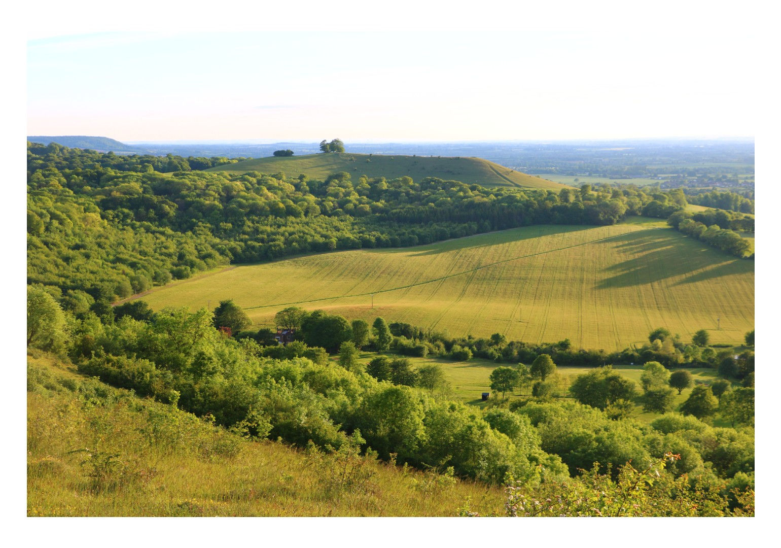 Greetings Card- Coombe Hill