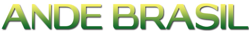 Associação Nacional em Defesa do Eleitor fortalece educação política e combate à desinformação no Brasil