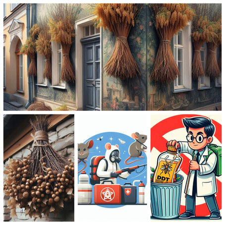 "A tempi antichi" la disinfestazione era ecologica