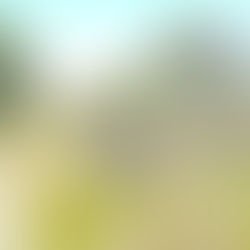 CHIESTA L'AUTORIZZAZIONE PER LA PULIZIA DELLO SPIAZZALE