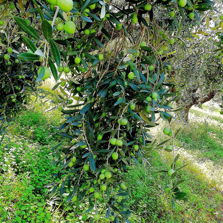 NON È MAI TROPPO TARDI!