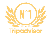 LOGO No1 V2_00000.png