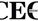 More Than a Run: The Evolution of LaceLocker® And Its Purpose-Driven Mission