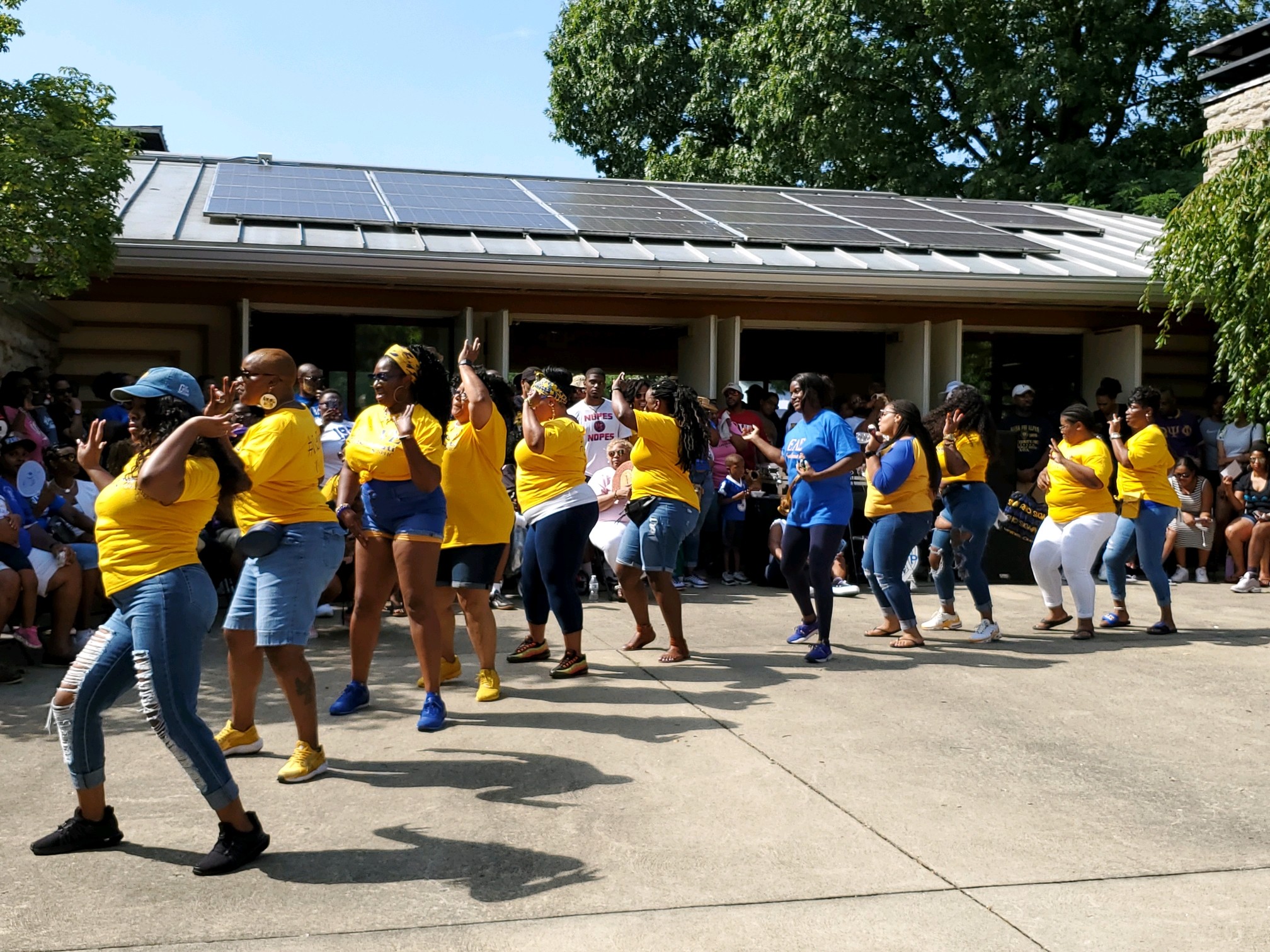 NPHC-Cookout