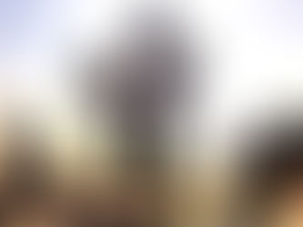 Se alimentarmos as crianças com amor, os medos morrerão de fome