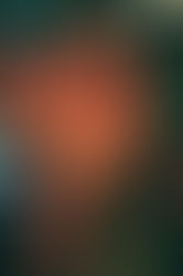 Back and time to dump