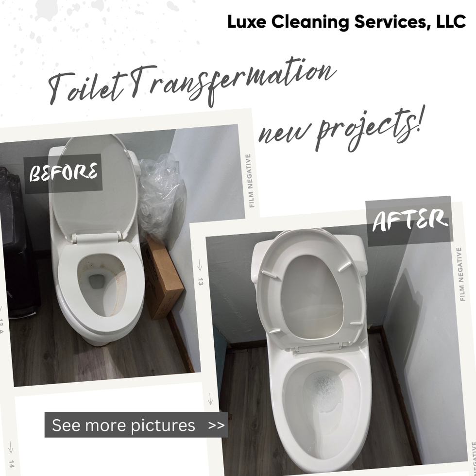 Toilet before and after 3 (Toilet Tuesday)