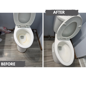 Transformation Tuesday