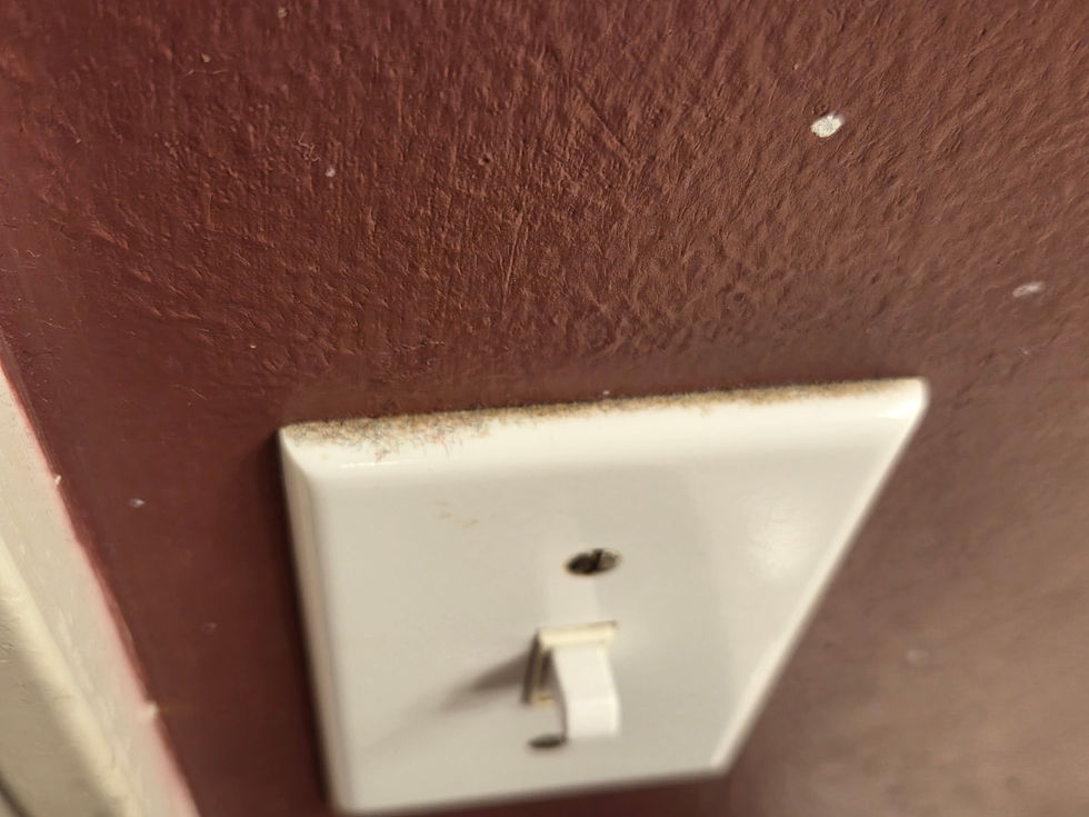 Before: Light switch plate with thick layer of dust and grime