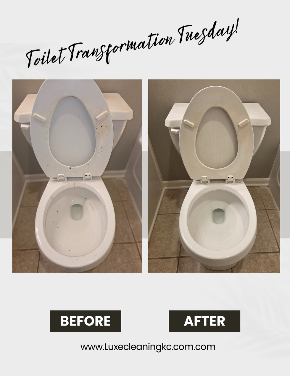 Toilet Transformation Tuesday 4