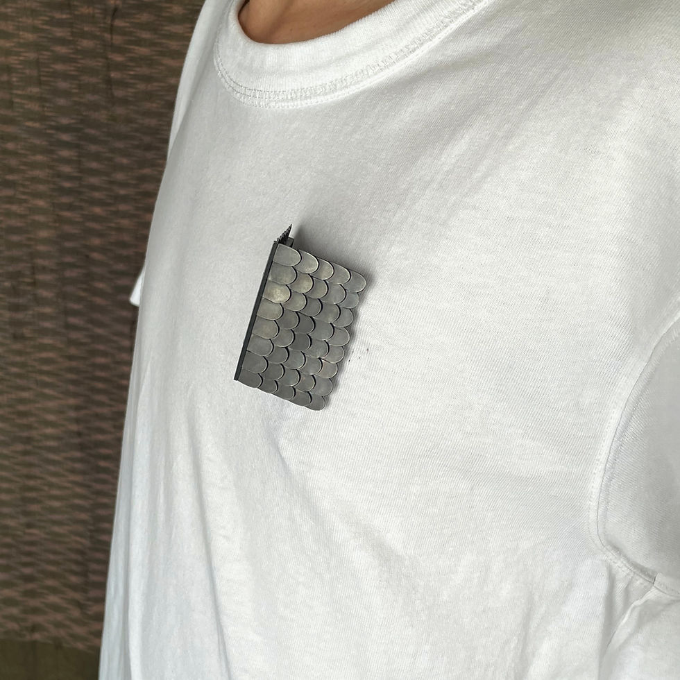 Thumbnail: A1. Roof brooch