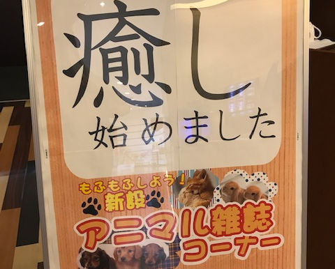 コローレ掛川店、癒し始めました