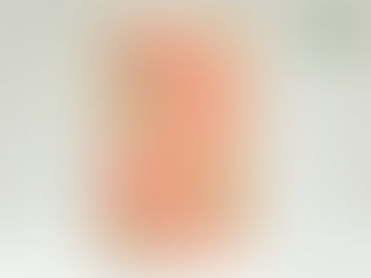 Plumeria Art Board【プルメリア アート ボード】
