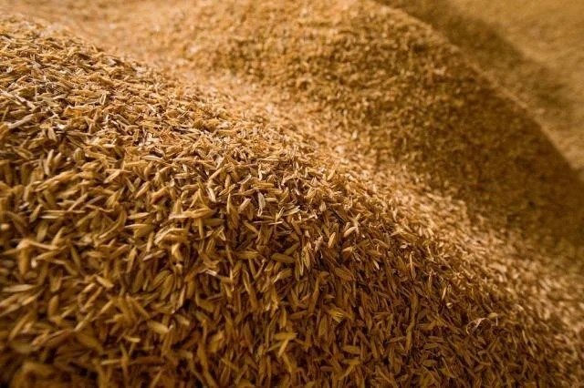 Rice-bran.jpg