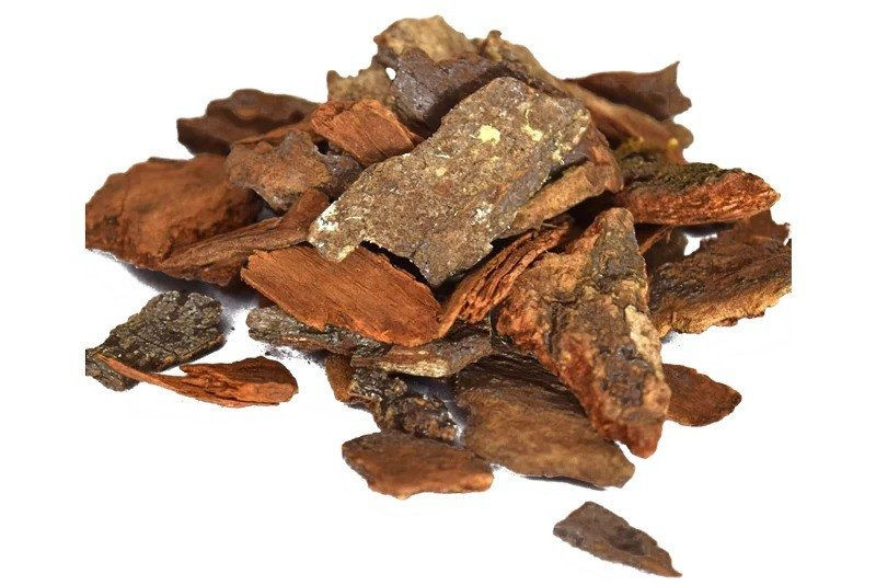 Arjuna-Bark (1).jpg