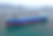IMG_0222_edited.png