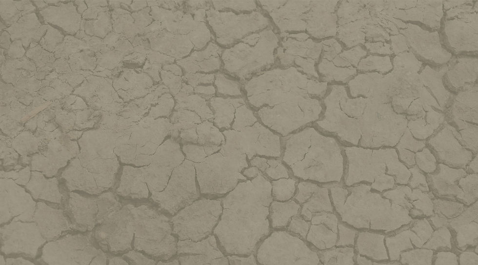 Dry Lnad_edited.jpg