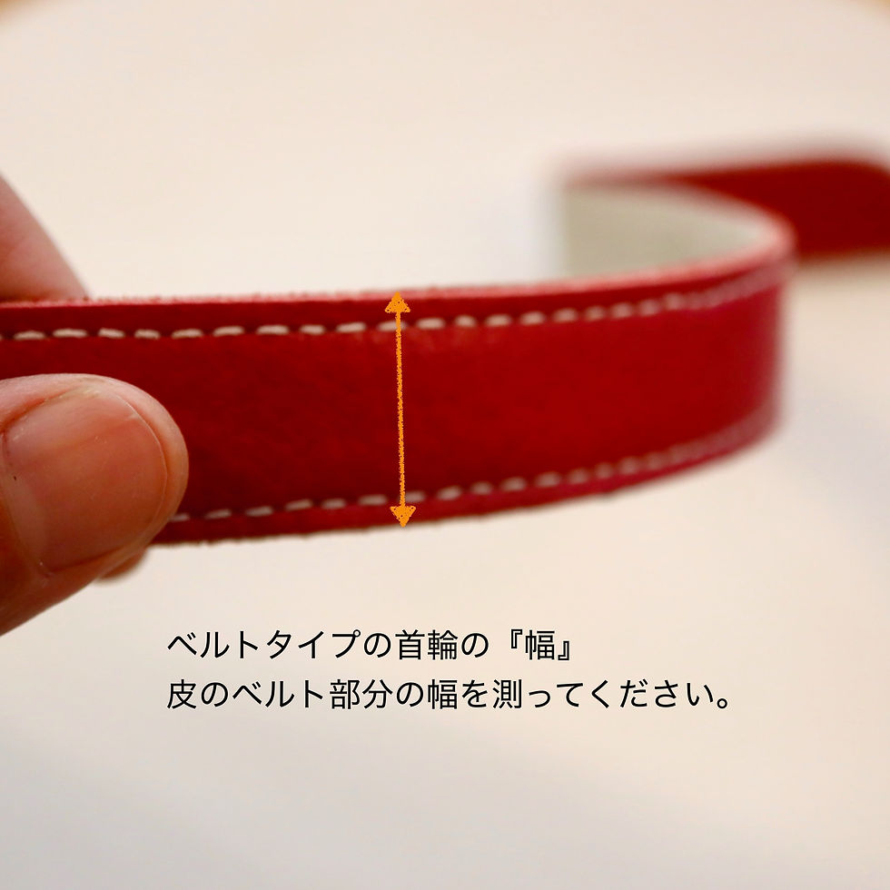 サムネイル： ジュエリー職人のつくる愛犬用ネームタグ no.1