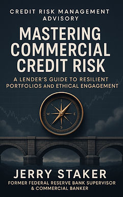 Mastering Commercial Credit Risk.jpeg