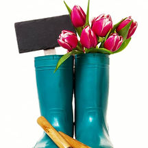 outdoors-springtime-tool-colorful-farm (1).jpg