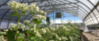 file-1 (2).jpeg