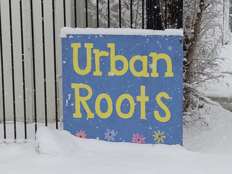 Winter on the Farm