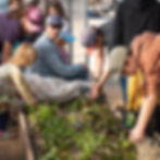 Volunteers working in gardening bed