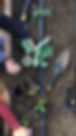 file-2.jpeg