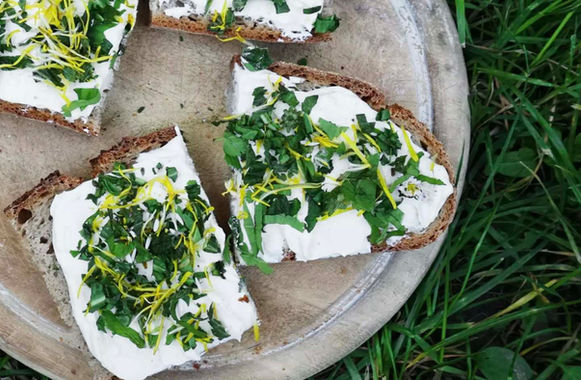 Bildschirmfoto 2023-03-13 um 07.59.36.jpg