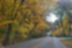 AdobeStock_703654545.jpeg