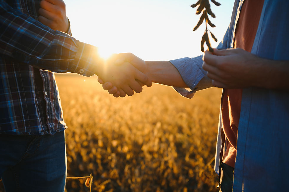 AdobeStock_580403556-2.jpeg